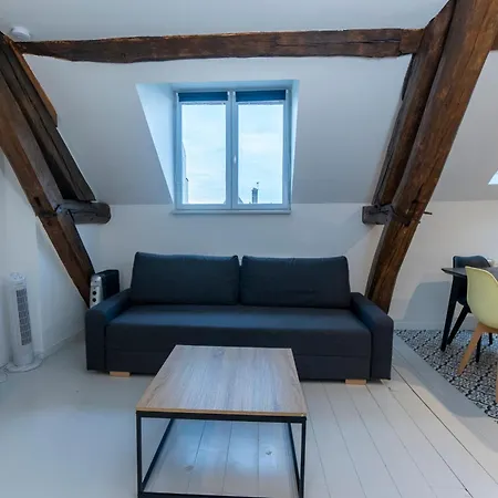 Haussmannien Jaures Apartment Troyes Exterior photo
