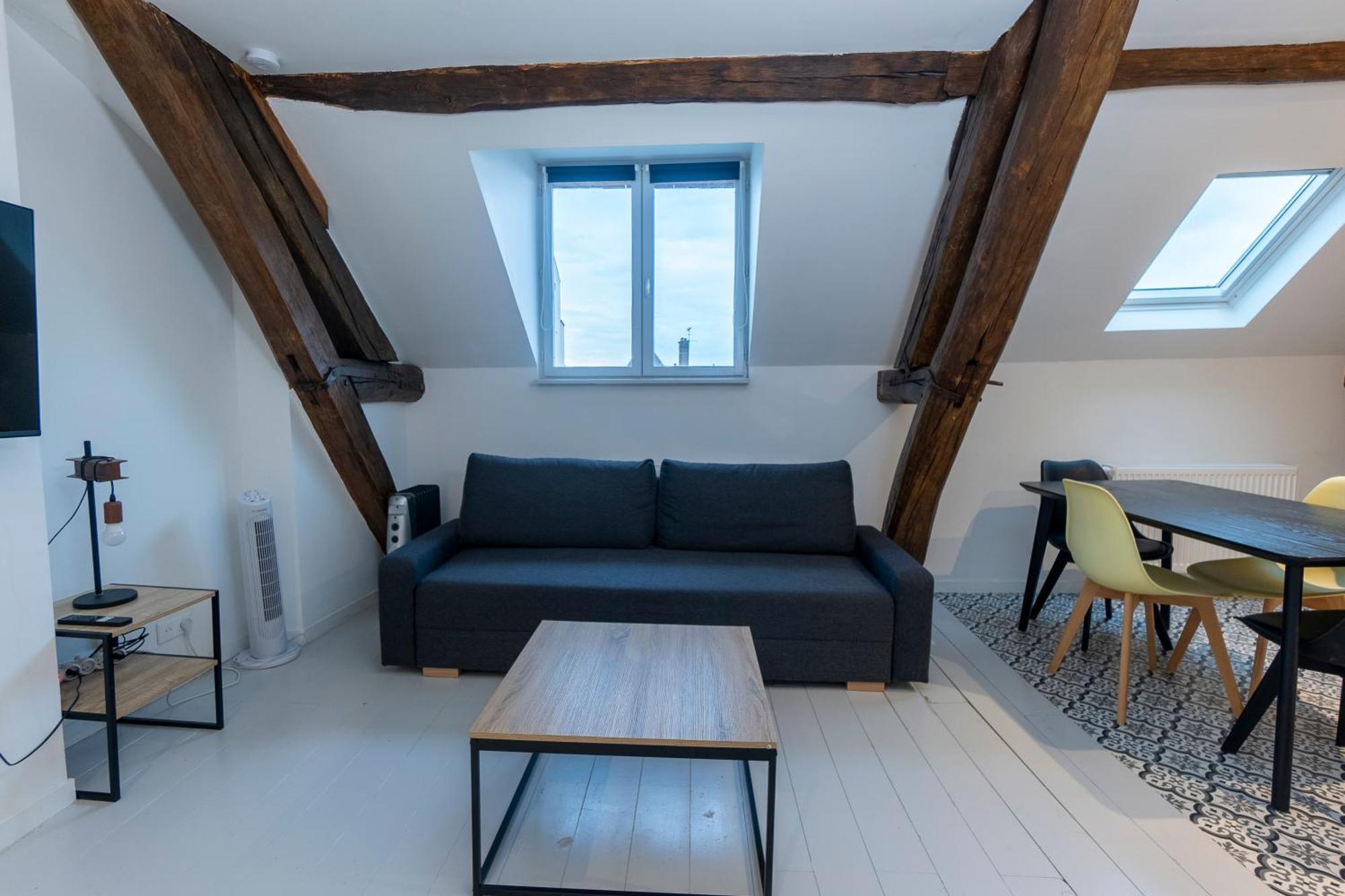 Haussmannien Jaures Appartamento Troyes